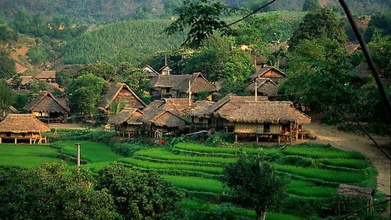 和平省梅珠之美。