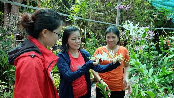 陳氏嬌詩（中）指引會員照料蘭花。