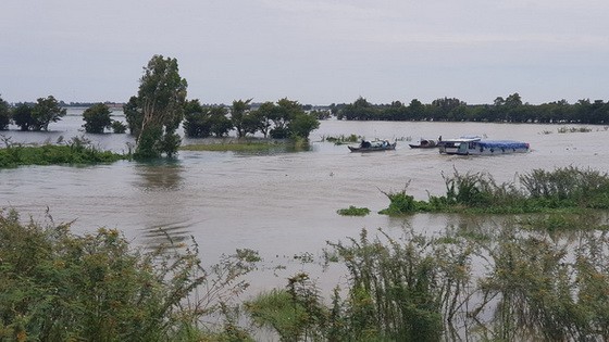 洪水水位已上漲，並淹沒永會東、富友、永祿等鄉若干聯村交通道路。（圖源：互聯網）