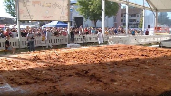 這塊超級雞排有70平方米大。（圖源：互聯網）