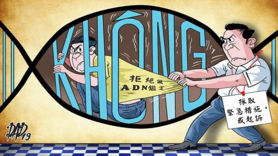 （示意圖源：DAD19）