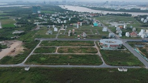 革新稅額計算方法以制止逃稅 ảnh 1