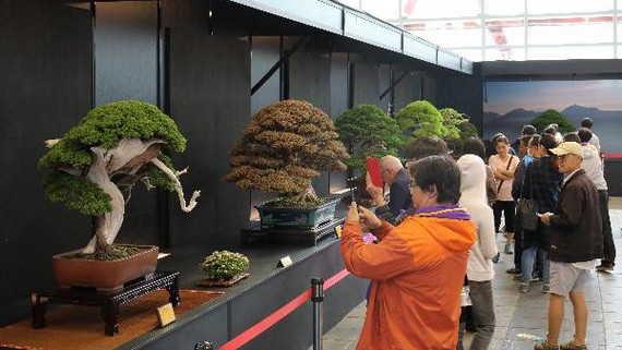 2019年第十五屆亞太盆景與奇石盛會將有逾50個國家參加，展出近1000盆盆景，250多件奇石作品，逾100幅觀賞生物藝術圖片等。（圖源：光宇）