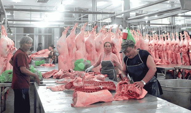 生豬交易平台帶來社會利益 ảnh 1