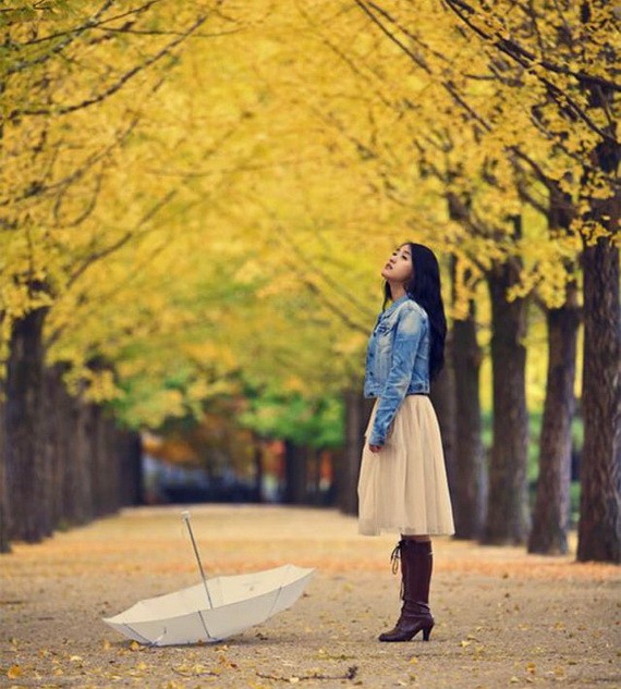 回憶秋天 ảnh 1