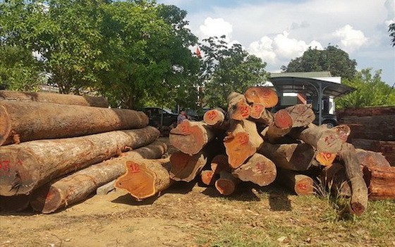 柬埔寨木炭消耗量每年達600萬噸，相當每年損失超過7萬公頃林木。（示意圖源：互聯網）