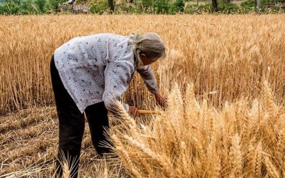 （示意圖源：互聯網）