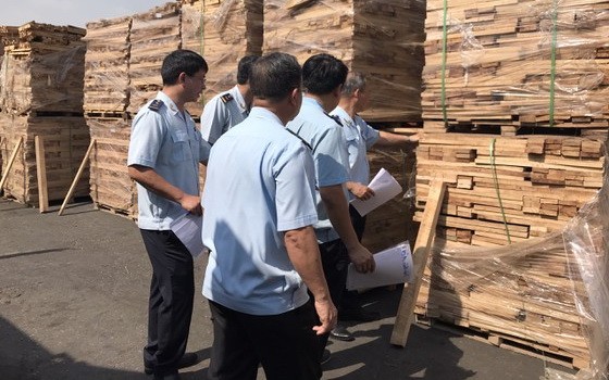 市海關人員對裝運木板的集裝箱進行實際檢查。（圖源：VOV）