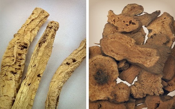 （示意圖源：互聯網）