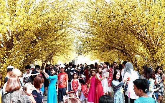 （示意圖源：互聯網）