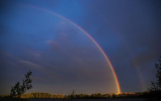 （示意圖源：互聯網）