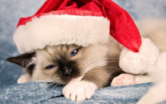 （示意圖源：互聯網）