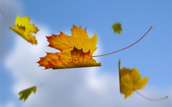 （示意圖源：互聯網）