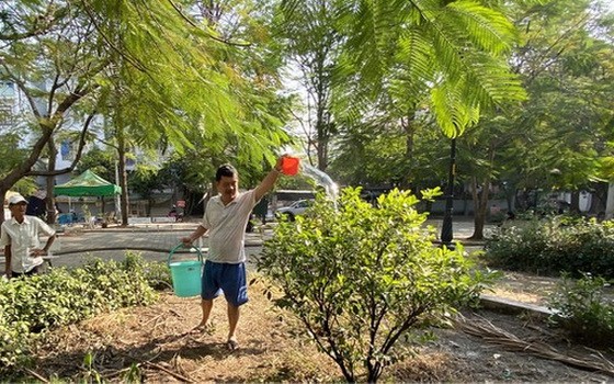 居民在曾經是垃圾場，後改造成為第八郡高魯公園內照顧綠樹。