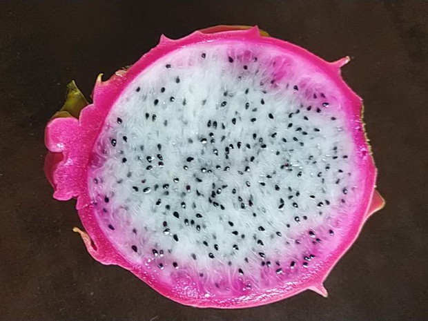 引進優質品種  有助經濟發展 ảnh 2