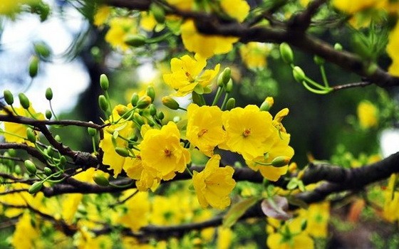 （示意圖源：互聯網）