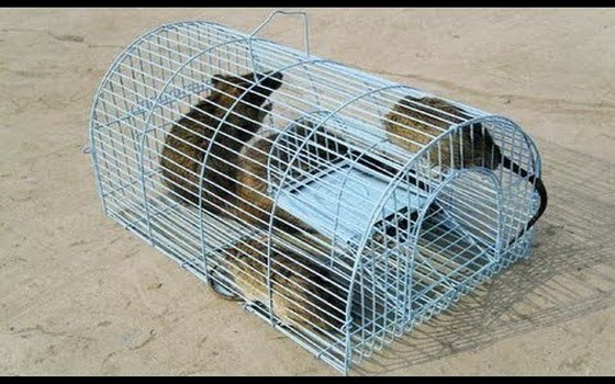 （示意圖源：互聯網）