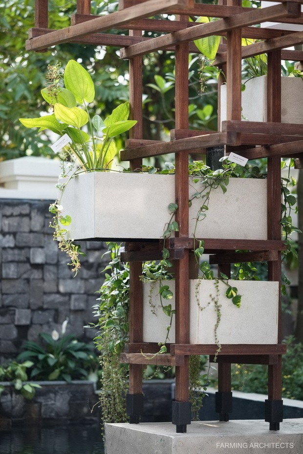 充實知識　探討自然 ảnh 1