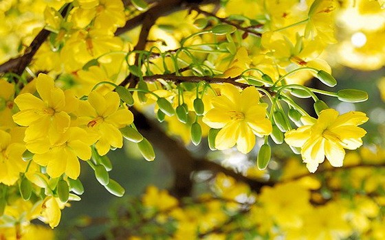 （示意圖源：互聯網）