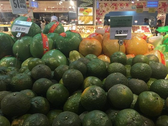 （示意圖源：互聯網）