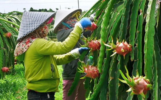 （示意圖源：俊傑）