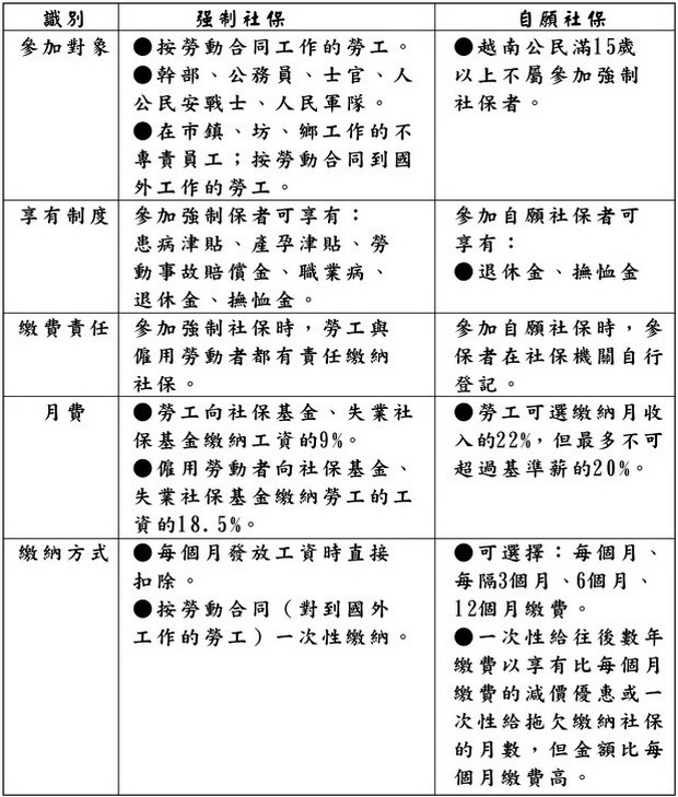 自願社保和強制社保有何區別？ ảnh 1