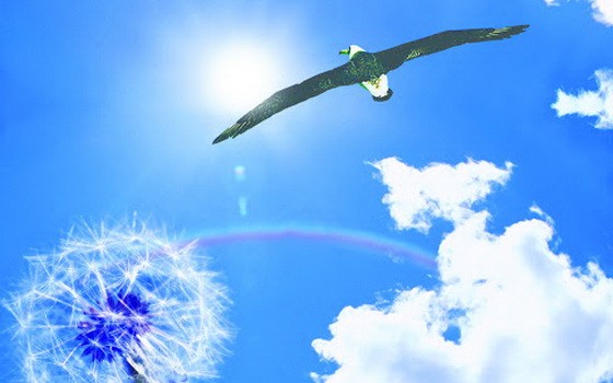 （示意圖源：互聯網）