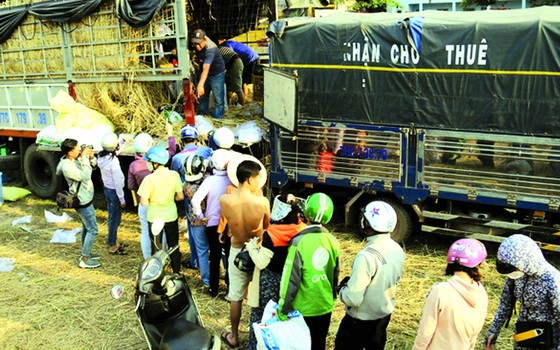 民眾購買不能出口的西瓜。（圖源：互聯網）