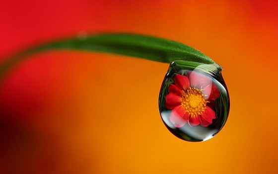 （示意圖源：互聯網）