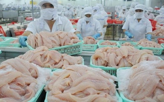 圖為查魚片加工。（圖源：垂楊）