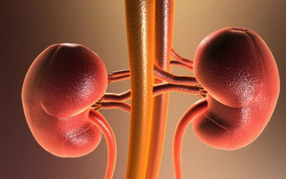 （示意圖源：互聯網）