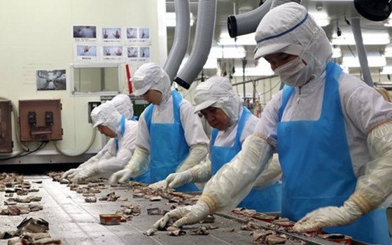 不少中資企業受疫情影響。（示意圖源：VNE）