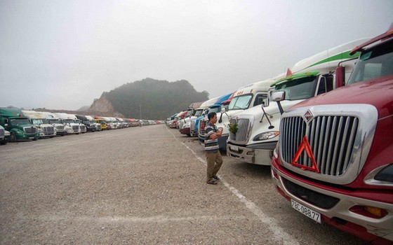 數百輛運載農產品的集裝箱大貨車在北方越中邊境口岸附近滯留多天等待通關。（圖源：TTO）