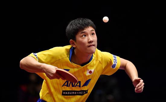 張本智和（圖源：互聯網）