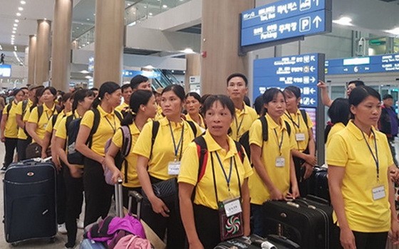 勞動與榮軍社會部：停止向疫區輸出勞工。（示意圖源：N. Tuấn）