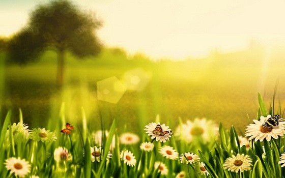 （示意圖源：互聯網）