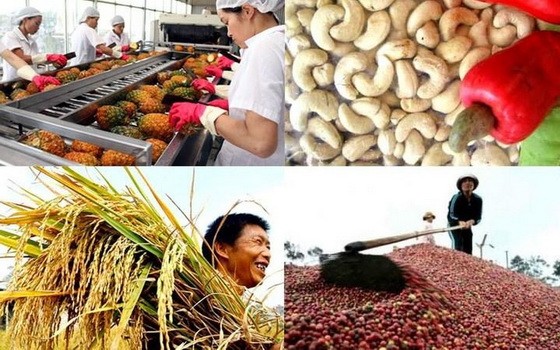 農業與農村發展部：年初兩個月份農、林、水產品出口總值約53億4000萬美元，同比減少2.8%。（示意圖源：互聯網）