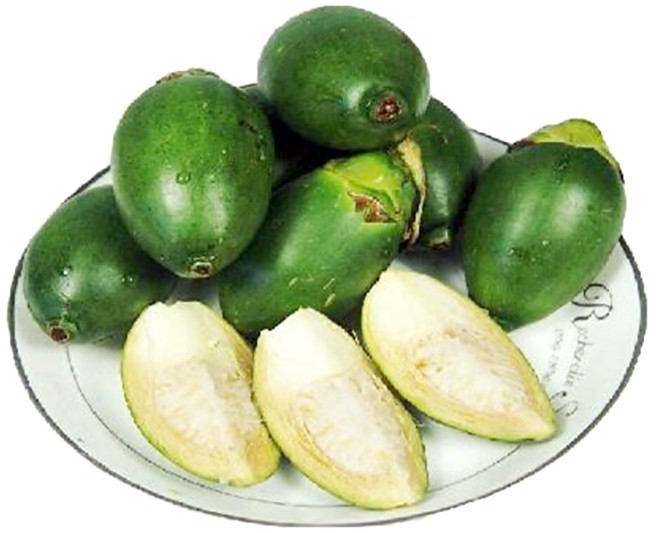 （示意圖源：互聯網）