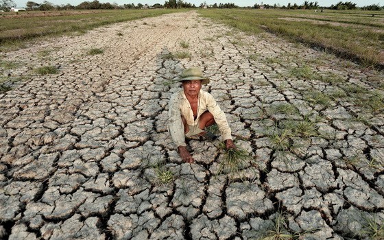 檳椥省巴椥縣安富忠鄉農民田地乾旱缺水。（圖源：玉陽）