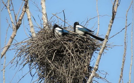 （示意圖源：互聯網）