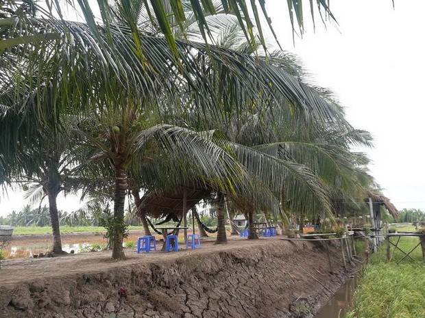 寧靜鳥嶼令人流連忘返 ảnh 1