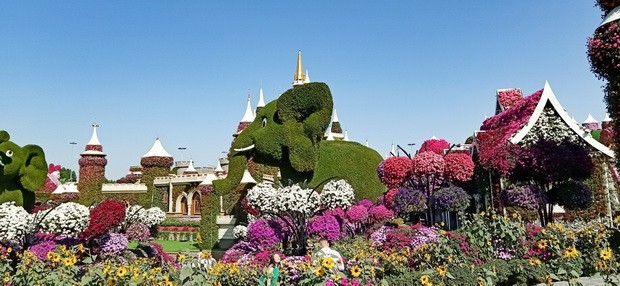 春遊阿聯酋：霸氣魅力沒法擋（四） ảnh 2