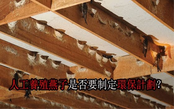 （示意圖源：互聯網）