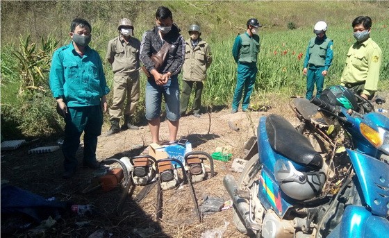 大勒市職能力量現場人贓並獲黎黃明通（前左二）盜砍樹林及手提鋸木機。（圖源：膽仲）