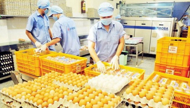 本市能加倍供應商品 ảnh 1