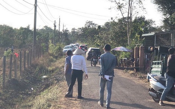 土地熱潮期間，前往巴地-頭頓省周德縣平波鄉看地的人車絡繹不絕。