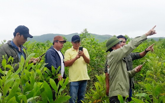 企業給GreenViet資助培訓組織工作經費，為保存生態環境作努力。