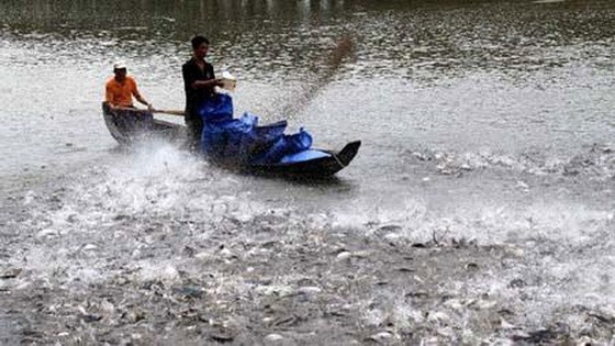 （示意圖源：互聯網）