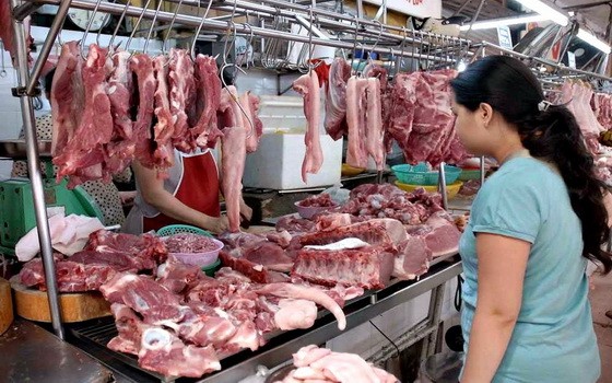 （示意圖源：和黎）