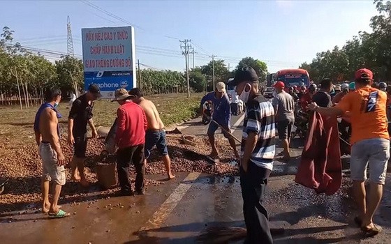 當地民眾與路人合力協助司機撿拾撒落在路面上的腰果。（圖源：PV）